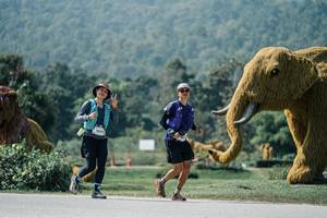 BIB: 
                            <button type="button" onclick="openModal(25968771)" class="btn btn-primary btn-sm float-right btn-popup" data-toggle="modal" data-target=".modal-high-quality">
                        <i class="fas fa-shopping-cart"></i> Add to Cart
                    </button>
                                            <button type="button" onclick="isThisMe(25968771, true)" class="btn btn-success btn-sm float-right btn-popup btn-isme hidden" data-toggle="tooltip" data-placement="bottom" title="นี่คือรูปของคุณใช่ไหม คลิกที่นี่เพื่อเอาเข้าอัลบั้ม">
                        <i class="fas fa-plus"></i> Add to album
                    </button>
                    <button type="button" onclick="isThisMe(25968771, false)" class="btn btn-warning btn-sm float-right btn-popup btn-isnotme hidden">
                        <i class="fas fa-ban"></i> Remove from album
                    </button>