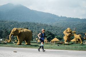 BIB: 
                            <button type="button" onclick="openModal(25903378)" class="btn btn-primary btn-sm float-right btn-popup" data-toggle="modal" data-target=".modal-high-quality">
                        <i class="fas fa-shopping-cart"></i> Add to Cart
                    </button>
                                            <button type="button" onclick="isThisMe(25903378, true)" class="btn btn-success btn-sm float-right btn-popup btn-isme hidden" data-toggle="tooltip" data-placement="bottom" title="นี่คือรูปของคุณใช่ไหม คลิกที่นี่เพื่อเอาเข้าอัลบั้ม">
                        <i class="fas fa-plus"></i> Add to album
                    </button>
                    <button type="button" onclick="isThisMe(25903378, false)" class="btn btn-warning btn-sm float-right btn-popup btn-isnotme hidden">
                        <i class="fas fa-ban"></i> Remove from album
                    </button>