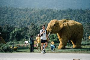 BIB: 
                            <button type="button" onclick="openModal(25890065)" class="btn btn-primary btn-sm float-right btn-popup" data-toggle="modal" data-target=".modal-high-quality">
                        <i class="fas fa-shopping-cart"></i> Add to Cart
                    </button>
                                            <button type="button" onclick="isThisMe(25890065, true)" class="btn btn-success btn-sm float-right btn-popup btn-isme hidden" data-toggle="tooltip" data-placement="bottom" title="นี่คือรูปของคุณใช่ไหม คลิกที่นี่เพื่อเอาเข้าอัลบั้ม">
                        <i class="fas fa-plus"></i> Add to album
                    </button>
                    <button type="button" onclick="isThisMe(25890065, false)" class="btn btn-warning btn-sm float-right btn-popup btn-isnotme hidden">
                        <i class="fas fa-ban"></i> Remove from album
                    </button>