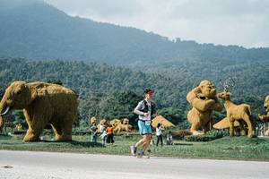 BIB: 
                            <button type="button" onclick="openModal(25918678)" class="btn btn-primary btn-sm float-right btn-popup" data-toggle="modal" data-target=".modal-high-quality">
                        <i class="fas fa-shopping-cart"></i> Add to Cart
                    </button>
                                            <button type="button" onclick="isThisMe(25918678, true)" class="btn btn-success btn-sm float-right btn-popup btn-isme hidden" data-toggle="tooltip" data-placement="bottom" title="นี่คือรูปของคุณใช่ไหม คลิกที่นี่เพื่อเอาเข้าอัลบั้ม">
                        <i class="fas fa-plus"></i> Add to album
                    </button>
                    <button type="button" onclick="isThisMe(25918678, false)" class="btn btn-warning btn-sm float-right btn-popup btn-isnotme hidden">
                        <i class="fas fa-ban"></i> Remove from album
                    </button>