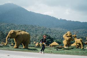 BIB: 
                            <button type="button" onclick="openModal(25925774)" class="btn btn-primary btn-sm float-right btn-popup" data-toggle="modal" data-target=".modal-high-quality">
                        <i class="fas fa-shopping-cart"></i> Add to Cart
                    </button>
                                            <button type="button" onclick="isThisMe(25925774, true)" class="btn btn-success btn-sm float-right btn-popup btn-isme hidden" data-toggle="tooltip" data-placement="bottom" title="นี่คือรูปของคุณใช่ไหม คลิกที่นี่เพื่อเอาเข้าอัลบั้ม">
                        <i class="fas fa-plus"></i> Add to album
                    </button>
                    <button type="button" onclick="isThisMe(25925774, false)" class="btn btn-warning btn-sm float-right btn-popup btn-isnotme hidden">
                        <i class="fas fa-ban"></i> Remove from album
                    </button>