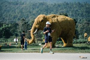 BIB: 
                            <button type="button" onclick="openModal(25910546)" class="btn btn-primary btn-sm float-right btn-popup" data-toggle="modal" data-target=".modal-high-quality">
                        <i class="fas fa-shopping-cart"></i> Add to Cart
                    </button>
                                            <button type="button" onclick="isThisMe(25910546, true)" class="btn btn-success btn-sm float-right btn-popup btn-isme hidden" data-toggle="tooltip" data-placement="bottom" title="นี่คือรูปของคุณใช่ไหม คลิกที่นี่เพื่อเอาเข้าอัลบั้ม">
                        <i class="fas fa-plus"></i> Add to album
                    </button>
                    <button type="button" onclick="isThisMe(25910546, false)" class="btn btn-warning btn-sm float-right btn-popup btn-isnotme hidden">
                        <i class="fas fa-ban"></i> Remove from album
                    </button>