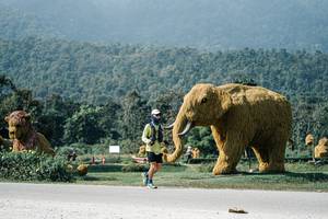 BIB: 
                            <button type="button" onclick="openModal(25901668)" class="btn btn-primary btn-sm float-right btn-popup" data-toggle="modal" data-target=".modal-high-quality">
                        <i class="fas fa-shopping-cart"></i> Add to Cart
                    </button>
                                            <button type="button" onclick="isThisMe(25901668, true)" class="btn btn-success btn-sm float-right btn-popup btn-isme hidden" data-toggle="tooltip" data-placement="bottom" title="นี่คือรูปของคุณใช่ไหม คลิกที่นี่เพื่อเอาเข้าอัลบั้ม">
                        <i class="fas fa-plus"></i> Add to album
                    </button>
                    <button type="button" onclick="isThisMe(25901668, false)" class="btn btn-warning btn-sm float-right btn-popup btn-isnotme hidden">
                        <i class="fas fa-ban"></i> Remove from album
                    </button>