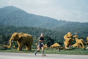 BIB: 
                            <button type="button" onclick="openModal(25871744)" class="btn btn-primary btn-sm float-right btn-popup" data-toggle="modal" data-target=".modal-high-quality">
                        <i class="fas fa-shopping-cart"></i> Add to Cart
                    </button>
                                            <button type="button" onclick="isThisMe(25871744, true)" class="btn btn-success btn-sm float-right btn-popup btn-isme hidden" data-toggle="tooltip" data-placement="bottom" title="นี่คือรูปของคุณใช่ไหม คลิกที่นี่เพื่อเอาเข้าอัลบั้ม">
                        <i class="fas fa-plus"></i> Add to album
                    </button>
                    <button type="button" onclick="isThisMe(25871744, false)" class="btn btn-warning btn-sm float-right btn-popup btn-isnotme hidden">
                        <i class="fas fa-ban"></i> Remove from album
                    </button>