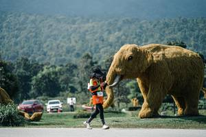 BIB: 
                            <button type="button" onclick="openModal(25950223)" class="btn btn-primary btn-sm float-right btn-popup" data-toggle="modal" data-target=".modal-high-quality">
                        <i class="fas fa-shopping-cart"></i> Add to Cart
                    </button>
                                            <button type="button" onclick="isThisMe(25950223, true)" class="btn btn-success btn-sm float-right btn-popup btn-isme hidden" data-toggle="tooltip" data-placement="bottom" title="นี่คือรูปของคุณใช่ไหม คลิกที่นี่เพื่อเอาเข้าอัลบั้ม">
                        <i class="fas fa-plus"></i> Add to album
                    </button>
                    <button type="button" onclick="isThisMe(25950223, false)" class="btn btn-warning btn-sm float-right btn-popup btn-isnotme hidden">
                        <i class="fas fa-ban"></i> Remove from album
                    </button>