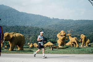 BIB: 
                            <button type="button" onclick="openModal(25871863)" class="btn btn-primary btn-sm float-right btn-popup" data-toggle="modal" data-target=".modal-high-quality">
                        <i class="fas fa-shopping-cart"></i> Add to Cart
                    </button>
                                            <button type="button" onclick="isThisMe(25871863, true)" class="btn btn-success btn-sm float-right btn-popup btn-isme hidden" data-toggle="tooltip" data-placement="bottom" title="นี่คือรูปของคุณใช่ไหม คลิกที่นี่เพื่อเอาเข้าอัลบั้ม">
                        <i class="fas fa-plus"></i> Add to album
                    </button>
                    <button type="button" onclick="isThisMe(25871863, false)" class="btn btn-warning btn-sm float-right btn-popup btn-isnotme hidden">
                        <i class="fas fa-ban"></i> Remove from album
                    </button>