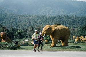 BIB: 
                            <button type="button" onclick="openModal(25885120)" class="btn btn-primary btn-sm float-right btn-popup" data-toggle="modal" data-target=".modal-high-quality">
                        <i class="fas fa-shopping-cart"></i> Add to Cart
                    </button>
                                            <button type="button" onclick="isThisMe(25885120, true)" class="btn btn-success btn-sm float-right btn-popup btn-isme hidden" data-toggle="tooltip" data-placement="bottom" title="นี่คือรูปของคุณใช่ไหม คลิกที่นี่เพื่อเอาเข้าอัลบั้ม">
                        <i class="fas fa-plus"></i> Add to album
                    </button>
                    <button type="button" onclick="isThisMe(25885120, false)" class="btn btn-warning btn-sm float-right btn-popup btn-isnotme hidden">
                        <i class="fas fa-ban"></i> Remove from album
                    </button>