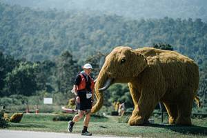 BIB: 
                            <button type="button" onclick="openModal(25976391)" class="btn btn-primary btn-sm float-right btn-popup" data-toggle="modal" data-target=".modal-high-quality">
                        <i class="fas fa-shopping-cart"></i> Add to Cart
                    </button>
                                            <button type="button" onclick="isThisMe(25976391, true)" class="btn btn-success btn-sm float-right btn-popup btn-isme hidden" data-toggle="tooltip" data-placement="bottom" title="นี่คือรูปของคุณใช่ไหม คลิกที่นี่เพื่อเอาเข้าอัลบั้ม">
                        <i class="fas fa-plus"></i> Add to album
                    </button>
                    <button type="button" onclick="isThisMe(25976391, false)" class="btn btn-warning btn-sm float-right btn-popup btn-isnotme hidden">
                        <i class="fas fa-ban"></i> Remove from album
                    </button>