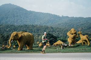 BIB: 
                            <button type="button" onclick="openModal(25871431)" class="btn btn-primary btn-sm float-right btn-popup" data-toggle="modal" data-target=".modal-high-quality">
                        <i class="fas fa-shopping-cart"></i> Add to Cart
                    </button>
                                            <button type="button" onclick="isThisMe(25871431, true)" class="btn btn-success btn-sm float-right btn-popup btn-isme hidden" data-toggle="tooltip" data-placement="bottom" title="นี่คือรูปของคุณใช่ไหม คลิกที่นี่เพื่อเอาเข้าอัลบั้ม">
                        <i class="fas fa-plus"></i> Add to album
                    </button>
                    <button type="button" onclick="isThisMe(25871431, false)" class="btn btn-warning btn-sm float-right btn-popup btn-isnotme hidden">
                        <i class="fas fa-ban"></i> Remove from album
                    </button>