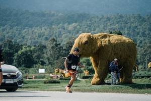 BIB: 
                            <button type="button" onclick="openModal(25939898)" class="btn btn-primary btn-sm float-right btn-popup" data-toggle="modal" data-target=".modal-high-quality">
                        <i class="fas fa-shopping-cart"></i> Add to Cart
                    </button>
                                            <button type="button" onclick="isThisMe(25939898, true)" class="btn btn-success btn-sm float-right btn-popup btn-isme hidden" data-toggle="tooltip" data-placement="bottom" title="นี่คือรูปของคุณใช่ไหม คลิกที่นี่เพื่อเอาเข้าอัลบั้ม">
                        <i class="fas fa-plus"></i> Add to album
                    </button>
                    <button type="button" onclick="isThisMe(25939898, false)" class="btn btn-warning btn-sm float-right btn-popup btn-isnotme hidden">
                        <i class="fas fa-ban"></i> Remove from album
                    </button>