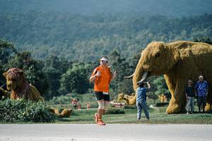 BIB: 
                            <button type="button" onclick="openModal(25940178)" class="btn btn-primary btn-sm float-right btn-popup" data-toggle="modal" data-target=".modal-high-quality">
                        <i class="fas fa-shopping-cart"></i> Add to Cart
                    </button>
                                            <button type="button" onclick="isThisMe(25940178, true)" class="btn btn-success btn-sm float-right btn-popup btn-isme hidden" data-toggle="tooltip" data-placement="bottom" title="นี่คือรูปของคุณใช่ไหม คลิกที่นี่เพื่อเอาเข้าอัลบั้ม">
                        <i class="fas fa-plus"></i> Add to album
                    </button>
                    <button type="button" onclick="isThisMe(25940178, false)" class="btn btn-warning btn-sm float-right btn-popup btn-isnotme hidden">
                        <i class="fas fa-ban"></i> Remove from album
                    </button>