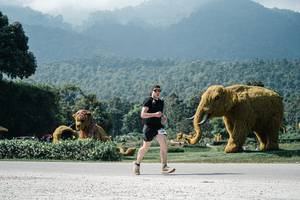 BIB: 
                            <button type="button" onclick="openModal(25948869)" class="btn btn-primary btn-sm float-right btn-popup" data-toggle="modal" data-target=".modal-high-quality">
                        <i class="fas fa-shopping-cart"></i> Add to Cart
                    </button>
                                            <button type="button" onclick="isThisMe(25948869, true)" class="btn btn-success btn-sm float-right btn-popup btn-isme hidden" data-toggle="tooltip" data-placement="bottom" title="นี่คือรูปของคุณใช่ไหม คลิกที่นี่เพื่อเอาเข้าอัลบั้ม">
                        <i class="fas fa-plus"></i> Add to album
                    </button>
                    <button type="button" onclick="isThisMe(25948869, false)" class="btn btn-warning btn-sm float-right btn-popup btn-isnotme hidden">
                        <i class="fas fa-ban"></i> Remove from album
                    </button>