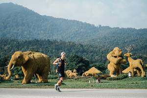 BIB: 
                            <button type="button" onclick="openModal(25871317)" class="btn btn-primary btn-sm float-right btn-popup" data-toggle="modal" data-target=".modal-high-quality">
                        <i class="fas fa-shopping-cart"></i> Add to Cart
                    </button>
                                            <button type="button" onclick="isThisMe(25871317, true)" class="btn btn-success btn-sm float-right btn-popup btn-isme hidden" data-toggle="tooltip" data-placement="bottom" title="นี่คือรูปของคุณใช่ไหม คลิกที่นี่เพื่อเอาเข้าอัลบั้ม">
                        <i class="fas fa-plus"></i> Add to album
                    </button>
                    <button type="button" onclick="isThisMe(25871317, false)" class="btn btn-warning btn-sm float-right btn-popup btn-isnotme hidden">
                        <i class="fas fa-ban"></i> Remove from album
                    </button>