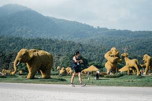 BIB: 
                            <button type="button" onclick="openModal(25877514)" class="btn btn-primary btn-sm float-right btn-popup" data-toggle="modal" data-target=".modal-high-quality">
                        <i class="fas fa-shopping-cart"></i> Add to Cart
                    </button>
                                            <button type="button" onclick="isThisMe(25877514, true)" class="btn btn-success btn-sm float-right btn-popup btn-isme hidden" data-toggle="tooltip" data-placement="bottom" title="นี่คือรูปของคุณใช่ไหม คลิกที่นี่เพื่อเอาเข้าอัลบั้ม">
                        <i class="fas fa-plus"></i> Add to album
                    </button>
                    <button type="button" onclick="isThisMe(25877514, false)" class="btn btn-warning btn-sm float-right btn-popup btn-isnotme hidden">
                        <i class="fas fa-ban"></i> Remove from album
                    </button>