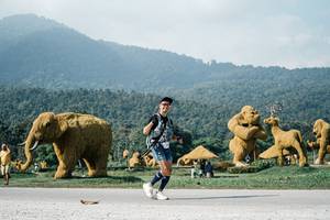 BIB: 
                            <button type="button" onclick="openModal(25893163)" class="btn btn-primary btn-sm float-right btn-popup" data-toggle="modal" data-target=".modal-high-quality">
                        <i class="fas fa-shopping-cart"></i> Add to Cart
                    </button>
                                            <button type="button" onclick="isThisMe(25893163, true)" class="btn btn-success btn-sm float-right btn-popup btn-isme hidden" data-toggle="tooltip" data-placement="bottom" title="นี่คือรูปของคุณใช่ไหม คลิกที่นี่เพื่อเอาเข้าอัลบั้ม">
                        <i class="fas fa-plus"></i> Add to album
                    </button>
                    <button type="button" onclick="isThisMe(25893163, false)" class="btn btn-warning btn-sm float-right btn-popup btn-isnotme hidden">
                        <i class="fas fa-ban"></i> Remove from album
                    </button>