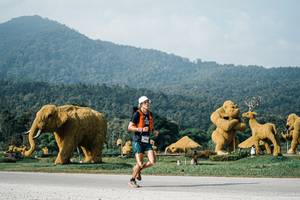 BIB: 
                            <button type="button" onclick="openModal(25871328)" class="btn btn-primary btn-sm float-right btn-popup" data-toggle="modal" data-target=".modal-high-quality">
                        <i class="fas fa-shopping-cart"></i> Add to Cart
                    </button>
                                            <button type="button" onclick="isThisMe(25871328, true)" class="btn btn-success btn-sm float-right btn-popup btn-isme hidden" data-toggle="tooltip" data-placement="bottom" title="นี่คือรูปของคุณใช่ไหม คลิกที่นี่เพื่อเอาเข้าอัลบั้ม">
                        <i class="fas fa-plus"></i> Add to album
                    </button>
                    <button type="button" onclick="isThisMe(25871328, false)" class="btn btn-warning btn-sm float-right btn-popup btn-isnotme hidden">
                        <i class="fas fa-ban"></i> Remove from album
                    </button>