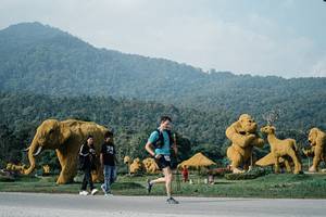 BIB: 
                            <button type="button" onclick="openModal(25871417)" class="btn btn-primary btn-sm float-right btn-popup" data-toggle="modal" data-target=".modal-high-quality">
                        <i class="fas fa-shopping-cart"></i> Add to Cart
                    </button>
                                            <button type="button" onclick="isThisMe(25871417, true)" class="btn btn-success btn-sm float-right btn-popup btn-isme hidden" data-toggle="tooltip" data-placement="bottom" title="นี่คือรูปของคุณใช่ไหม คลิกที่นี่เพื่อเอาเข้าอัลบั้ม">
                        <i class="fas fa-plus"></i> Add to album
                    </button>
                    <button type="button" onclick="isThisMe(25871417, false)" class="btn btn-warning btn-sm float-right btn-popup btn-isnotme hidden">
                        <i class="fas fa-ban"></i> Remove from album
                    </button>