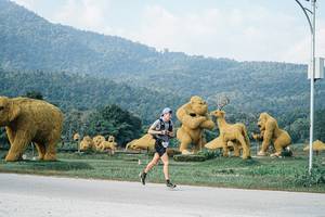 BIB: 
                            <button type="button" onclick="openModal(25869997)" class="btn btn-primary btn-sm float-right btn-popup" data-toggle="modal" data-target=".modal-high-quality">
                        <i class="fas fa-shopping-cart"></i> Add to Cart
                    </button>
                                            <button type="button" onclick="isThisMe(25869997, true)" class="btn btn-success btn-sm float-right btn-popup btn-isme hidden" data-toggle="tooltip" data-placement="bottom" title="นี่คือรูปของคุณใช่ไหม คลิกที่นี่เพื่อเอาเข้าอัลบั้ม">
                        <i class="fas fa-plus"></i> Add to album
                    </button>
                    <button type="button" onclick="isThisMe(25869997, false)" class="btn btn-warning btn-sm float-right btn-popup btn-isnotme hidden">
                        <i class="fas fa-ban"></i> Remove from album
                    </button>