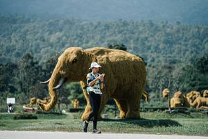 BIB: 
                            <button type="button" onclick="openModal(25954234)" class="btn btn-primary btn-sm float-right btn-popup" data-toggle="modal" data-target=".modal-high-quality">
                        <i class="fas fa-shopping-cart"></i> Add to Cart
                    </button>
                                            <button type="button" onclick="isThisMe(25954234, true)" class="btn btn-success btn-sm float-right btn-popup btn-isme hidden" data-toggle="tooltip" data-placement="bottom" title="นี่คือรูปของคุณใช่ไหม คลิกที่นี่เพื่อเอาเข้าอัลบั้ม">
                        <i class="fas fa-plus"></i> Add to album
                    </button>
                    <button type="button" onclick="isThisMe(25954234, false)" class="btn btn-warning btn-sm float-right btn-popup btn-isnotme hidden">
                        <i class="fas fa-ban"></i> Remove from album
                    </button>