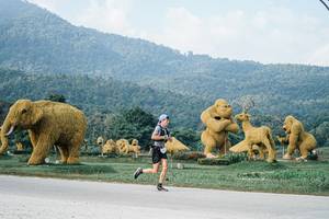 BIB: 
                            <button type="button" onclick="openModal(25870002)" class="btn btn-primary btn-sm float-right btn-popup" data-toggle="modal" data-target=".modal-high-quality">
                        <i class="fas fa-shopping-cart"></i> Add to Cart
                    </button>
                                            <button type="button" onclick="isThisMe(25870002, true)" class="btn btn-success btn-sm float-right btn-popup btn-isme hidden" data-toggle="tooltip" data-placement="bottom" title="นี่คือรูปของคุณใช่ไหม คลิกที่นี่เพื่อเอาเข้าอัลบั้ม">
                        <i class="fas fa-plus"></i> Add to album
                    </button>
                    <button type="button" onclick="isThisMe(25870002, false)" class="btn btn-warning btn-sm float-right btn-popup btn-isnotme hidden">
                        <i class="fas fa-ban"></i> Remove from album
                    </button>