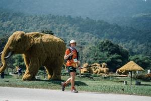 BIB: 
                            <button type="button" onclick="openModal(25958597)" class="btn btn-primary btn-sm float-right btn-popup" data-toggle="modal" data-target=".modal-high-quality">
                        <i class="fas fa-shopping-cart"></i> Add to Cart
                    </button>
                                            <button type="button" onclick="isThisMe(25958597, true)" class="btn btn-success btn-sm float-right btn-popup btn-isme hidden" data-toggle="tooltip" data-placement="bottom" title="นี่คือรูปของคุณใช่ไหม คลิกที่นี่เพื่อเอาเข้าอัลบั้ม">
                        <i class="fas fa-plus"></i> Add to album
                    </button>
                    <button type="button" onclick="isThisMe(25958597, false)" class="btn btn-warning btn-sm float-right btn-popup btn-isnotme hidden">
                        <i class="fas fa-ban"></i> Remove from album
                    </button>