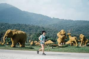 BIB: 
                            <button type="button" onclick="openModal(25887450)" class="btn btn-primary btn-sm float-right btn-popup" data-toggle="modal" data-target=".modal-high-quality">
                        <i class="fas fa-shopping-cart"></i> Add to Cart
                    </button>
                                            <button type="button" onclick="isThisMe(25887450, true)" class="btn btn-success btn-sm float-right btn-popup btn-isme hidden" data-toggle="tooltip" data-placement="bottom" title="นี่คือรูปของคุณใช่ไหม คลิกที่นี่เพื่อเอาเข้าอัลบั้ม">
                        <i class="fas fa-plus"></i> Add to album
                    </button>
                    <button type="button" onclick="isThisMe(25887450, false)" class="btn btn-warning btn-sm float-right btn-popup btn-isnotme hidden">
                        <i class="fas fa-ban"></i> Remove from album
                    </button>