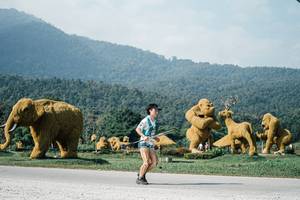 BIB: 
                            <button type="button" onclick="openModal(25887446)" class="btn btn-primary btn-sm float-right btn-popup" data-toggle="modal" data-target=".modal-high-quality">
                        <i class="fas fa-shopping-cart"></i> Add to Cart
                    </button>
                                            <button type="button" onclick="isThisMe(25887446, true)" class="btn btn-success btn-sm float-right btn-popup btn-isme hidden" data-toggle="tooltip" data-placement="bottom" title="นี่คือรูปของคุณใช่ไหม คลิกที่นี่เพื่อเอาเข้าอัลบั้ม">
                        <i class="fas fa-plus"></i> Add to album
                    </button>
                    <button type="button" onclick="isThisMe(25887446, false)" class="btn btn-warning btn-sm float-right btn-popup btn-isnotme hidden">
                        <i class="fas fa-ban"></i> Remove from album
                    </button>