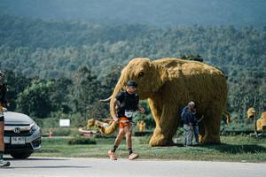 BIB: 
                            <button type="button" onclick="openModal(25939927)" class="btn btn-primary btn-sm float-right btn-popup" data-toggle="modal" data-target=".modal-high-quality">
                        <i class="fas fa-shopping-cart"></i> Add to Cart
                    </button>
                                            <button type="button" onclick="isThisMe(25939927, true)" class="btn btn-success btn-sm float-right btn-popup btn-isme hidden" data-toggle="tooltip" data-placement="bottom" title="นี่คือรูปของคุณใช่ไหม คลิกที่นี่เพื่อเอาเข้าอัลบั้ม">
                        <i class="fas fa-plus"></i> Add to album
                    </button>
                    <button type="button" onclick="isThisMe(25939927, false)" class="btn btn-warning btn-sm float-right btn-popup btn-isnotme hidden">
                        <i class="fas fa-ban"></i> Remove from album
                    </button>