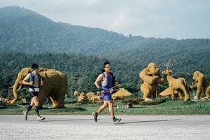 BIB: 
                            <button type="button" onclick="openModal(25873028)" class="btn btn-primary btn-sm float-right btn-popup" data-toggle="modal" data-target=".modal-high-quality">
                        <i class="fas fa-shopping-cart"></i> Add to Cart
                    </button>
                                            <button type="button" onclick="isThisMe(25873028, true)" class="btn btn-success btn-sm float-right btn-popup btn-isme hidden" data-toggle="tooltip" data-placement="bottom" title="นี่คือรูปของคุณใช่ไหม คลิกที่นี่เพื่อเอาเข้าอัลบั้ม">
                        <i class="fas fa-plus"></i> Add to album
                    </button>
                    <button type="button" onclick="isThisMe(25873028, false)" class="btn btn-warning btn-sm float-right btn-popup btn-isnotme hidden">
                        <i class="fas fa-ban"></i> Remove from album
                    </button>