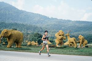 BIB: 
                            <button type="button" onclick="openModal(25869810)" class="btn btn-primary btn-sm float-right btn-popup" data-toggle="modal" data-target=".modal-high-quality">
                        <i class="fas fa-shopping-cart"></i> Add to Cart
                    </button>
                                            <button type="button" onclick="isThisMe(25869810, true)" class="btn btn-success btn-sm float-right btn-popup btn-isme hidden" data-toggle="tooltip" data-placement="bottom" title="นี่คือรูปของคุณใช่ไหม คลิกที่นี่เพื่อเอาเข้าอัลบั้ม">
                        <i class="fas fa-plus"></i> Add to album
                    </button>
                    <button type="button" onclick="isThisMe(25869810, false)" class="btn btn-warning btn-sm float-right btn-popup btn-isnotme hidden">
                        <i class="fas fa-ban"></i> Remove from album
                    </button>