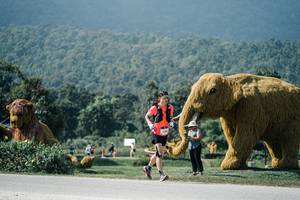 BIB: 
                            <button type="button" onclick="openModal(25924244)" class="btn btn-primary btn-sm float-right btn-popup" data-toggle="modal" data-target=".modal-high-quality">
                        <i class="fas fa-shopping-cart"></i> Add to Cart
                    </button>
                                            <button type="button" onclick="isThisMe(25924244, true)" class="btn btn-success btn-sm float-right btn-popup btn-isme hidden" data-toggle="tooltip" data-placement="bottom" title="นี่คือรูปของคุณใช่ไหม คลิกที่นี่เพื่อเอาเข้าอัลบั้ม">
                        <i class="fas fa-plus"></i> Add to album
                    </button>
                    <button type="button" onclick="isThisMe(25924244, false)" class="btn btn-warning btn-sm float-right btn-popup btn-isnotme hidden">
                        <i class="fas fa-ban"></i> Remove from album
                    </button>