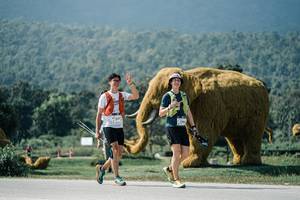 BIB: 
                            <button type="button" onclick="openModal(25947556)" class="btn btn-primary btn-sm float-right btn-popup" data-toggle="modal" data-target=".modal-high-quality">
                        <i class="fas fa-shopping-cart"></i> Add to Cart
                    </button>
                                            <button type="button" onclick="isThisMe(25947556, true)" class="btn btn-success btn-sm float-right btn-popup btn-isme hidden" data-toggle="tooltip" data-placement="bottom" title="นี่คือรูปของคุณใช่ไหม คลิกที่นี่เพื่อเอาเข้าอัลบั้ม">
                        <i class="fas fa-plus"></i> Add to album
                    </button>
                    <button type="button" onclick="isThisMe(25947556, false)" class="btn btn-warning btn-sm float-right btn-popup btn-isnotme hidden">
                        <i class="fas fa-ban"></i> Remove from album
                    </button>