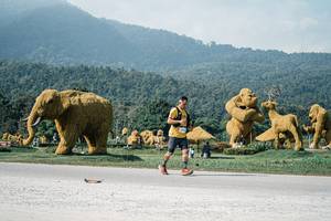 BIB: 
                            <button type="button" onclick="openModal(25893249)" class="btn btn-primary btn-sm float-right btn-popup" data-toggle="modal" data-target=".modal-high-quality">
                        <i class="fas fa-shopping-cart"></i> Add to Cart
                    </button>
                                            <button type="button" onclick="isThisMe(25893249, true)" class="btn btn-success btn-sm float-right btn-popup btn-isme hidden" data-toggle="tooltip" data-placement="bottom" title="นี่คือรูปของคุณใช่ไหม คลิกที่นี่เพื่อเอาเข้าอัลบั้ม">
                        <i class="fas fa-plus"></i> Add to album
                    </button>
                    <button type="button" onclick="isThisMe(25893249, false)" class="btn btn-warning btn-sm float-right btn-popup btn-isnotme hidden">
                        <i class="fas fa-ban"></i> Remove from album
                    </button>