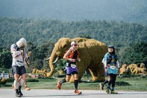 BIB: 
                            <button type="button" onclick="openModal(25902088)" class="btn btn-primary btn-sm float-right btn-popup" data-toggle="modal" data-target=".modal-high-quality">
                        <i class="fas fa-shopping-cart"></i> Add to Cart
                    </button>
                                            <button type="button" onclick="isThisMe(25902088, true)" class="btn btn-success btn-sm float-right btn-popup btn-isme hidden" data-toggle="tooltip" data-placement="bottom" title="นี่คือรูปของคุณใช่ไหม คลิกที่นี่เพื่อเอาเข้าอัลบั้ม">
                        <i class="fas fa-plus"></i> Add to album
                    </button>
                    <button type="button" onclick="isThisMe(25902088, false)" class="btn btn-warning btn-sm float-right btn-popup btn-isnotme hidden">
                        <i class="fas fa-ban"></i> Remove from album
                    </button>