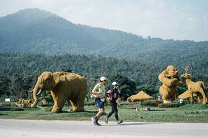 BIB: 
                            <button type="button" onclick="openModal(25885136)" class="btn btn-primary btn-sm float-right btn-popup" data-toggle="modal" data-target=".modal-high-quality">
                        <i class="fas fa-shopping-cart"></i> Add to Cart
                    </button>
                                            <button type="button" onclick="isThisMe(25885136, true)" class="btn btn-success btn-sm float-right btn-popup btn-isme hidden" data-toggle="tooltip" data-placement="bottom" title="นี่คือรูปของคุณใช่ไหม คลิกที่นี่เพื่อเอาเข้าอัลบั้ม">
                        <i class="fas fa-plus"></i> Add to album
                    </button>
                    <button type="button" onclick="isThisMe(25885136, false)" class="btn btn-warning btn-sm float-right btn-popup btn-isnotme hidden">
                        <i class="fas fa-ban"></i> Remove from album
                    </button>