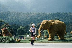 BIB: 
                            <button type="button" onclick="openModal(25962620)" class="btn btn-primary btn-sm float-right btn-popup" data-toggle="modal" data-target=".modal-high-quality">
                        <i class="fas fa-shopping-cart"></i> Add to Cart
                    </button>
                                            <button type="button" onclick="isThisMe(25962620, true)" class="btn btn-success btn-sm float-right btn-popup btn-isme hidden" data-toggle="tooltip" data-placement="bottom" title="นี่คือรูปของคุณใช่ไหม คลิกที่นี่เพื่อเอาเข้าอัลบั้ม">
                        <i class="fas fa-plus"></i> Add to album
                    </button>
                    <button type="button" onclick="isThisMe(25962620, false)" class="btn btn-warning btn-sm float-right btn-popup btn-isnotme hidden">
                        <i class="fas fa-ban"></i> Remove from album
                    </button>