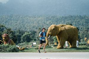 BIB: 
                            <button type="button" onclick="openModal(25930882)" class="btn btn-primary btn-sm float-right btn-popup" data-toggle="modal" data-target=".modal-high-quality">
                        <i class="fas fa-shopping-cart"></i> Add to Cart
                    </button>
                                            <button type="button" onclick="isThisMe(25930882, true)" class="btn btn-success btn-sm float-right btn-popup btn-isme hidden" data-toggle="tooltip" data-placement="bottom" title="นี่คือรูปของคุณใช่ไหม คลิกที่นี่เพื่อเอาเข้าอัลบั้ม">
                        <i class="fas fa-plus"></i> Add to album
                    </button>
                    <button type="button" onclick="isThisMe(25930882, false)" class="btn btn-warning btn-sm float-right btn-popup btn-isnotme hidden">
                        <i class="fas fa-ban"></i> Remove from album
                    </button>