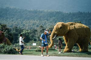 BIB: 
                            <button type="button" onclick="openModal(25946406)" class="btn btn-primary btn-sm float-right btn-popup" data-toggle="modal" data-target=".modal-high-quality">
                        <i class="fas fa-shopping-cart"></i> Add to Cart
                    </button>
                                            <button type="button" onclick="isThisMe(25946406, true)" class="btn btn-success btn-sm float-right btn-popup btn-isme hidden" data-toggle="tooltip" data-placement="bottom" title="นี่คือรูปของคุณใช่ไหม คลิกที่นี่เพื่อเอาเข้าอัลบั้ม">
                        <i class="fas fa-plus"></i> Add to album
                    </button>
                    <button type="button" onclick="isThisMe(25946406, false)" class="btn btn-warning btn-sm float-right btn-popup btn-isnotme hidden">
                        <i class="fas fa-ban"></i> Remove from album
                    </button>