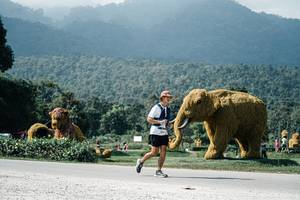 BIB: 
                            <button type="button" onclick="openModal(25927510)" class="btn btn-primary btn-sm float-right btn-popup" data-toggle="modal" data-target=".modal-high-quality">
                        <i class="fas fa-shopping-cart"></i> Add to Cart
                    </button>
                                            <button type="button" onclick="isThisMe(25927510, true)" class="btn btn-success btn-sm float-right btn-popup btn-isme hidden" data-toggle="tooltip" data-placement="bottom" title="นี่คือรูปของคุณใช่ไหม คลิกที่นี่เพื่อเอาเข้าอัลบั้ม">
                        <i class="fas fa-plus"></i> Add to album
                    </button>
                    <button type="button" onclick="isThisMe(25927510, false)" class="btn btn-warning btn-sm float-right btn-popup btn-isnotme hidden">
                        <i class="fas fa-ban"></i> Remove from album
                    </button>