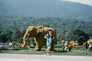 BIB: 
                            <button type="button" onclick="openModal(25918688)" class="btn btn-primary btn-sm float-right btn-popup" data-toggle="modal" data-target=".modal-high-quality">
                        <i class="fas fa-shopping-cart"></i> Add to Cart
                    </button>
                                            <button type="button" onclick="isThisMe(25918688, true)" class="btn btn-success btn-sm float-right btn-popup btn-isme hidden" data-toggle="tooltip" data-placement="bottom" title="นี่คือรูปของคุณใช่ไหม คลิกที่นี่เพื่อเอาเข้าอัลบั้ม">
                        <i class="fas fa-plus"></i> Add to album
                    </button>
                    <button type="button" onclick="isThisMe(25918688, false)" class="btn btn-warning btn-sm float-right btn-popup btn-isnotme hidden">
                        <i class="fas fa-ban"></i> Remove from album
                    </button>