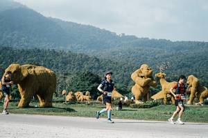 BIB: 
                            <button type="button" onclick="openModal(25877429)" class="btn btn-primary btn-sm float-right btn-popup" data-toggle="modal" data-target=".modal-high-quality">
                        <i class="fas fa-shopping-cart"></i> Add to Cart
                    </button>
                                            <button type="button" onclick="isThisMe(25877429, true)" class="btn btn-success btn-sm float-right btn-popup btn-isme hidden" data-toggle="tooltip" data-placement="bottom" title="นี่คือรูปของคุณใช่ไหม คลิกที่นี่เพื่อเอาเข้าอัลบั้ม">
                        <i class="fas fa-plus"></i> Add to album
                    </button>
                    <button type="button" onclick="isThisMe(25877429, false)" class="btn btn-warning btn-sm float-right btn-popup btn-isnotme hidden">
                        <i class="fas fa-ban"></i> Remove from album
                    </button>