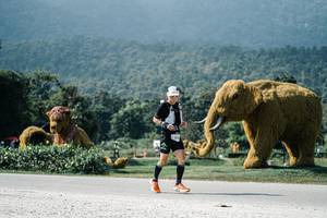 BIB: 
                            <button type="button" onclick="openModal(25929425)" class="btn btn-primary btn-sm float-right btn-popup" data-toggle="modal" data-target=".modal-high-quality">
                        <i class="fas fa-shopping-cart"></i> Add to Cart
                    </button>
                                            <button type="button" onclick="isThisMe(25929425, true)" class="btn btn-success btn-sm float-right btn-popup btn-isme hidden" data-toggle="tooltip" data-placement="bottom" title="นี่คือรูปของคุณใช่ไหม คลิกที่นี่เพื่อเอาเข้าอัลบั้ม">
                        <i class="fas fa-plus"></i> Add to album
                    </button>
                    <button type="button" onclick="isThisMe(25929425, false)" class="btn btn-warning btn-sm float-right btn-popup btn-isnotme hidden">
                        <i class="fas fa-ban"></i> Remove from album
                    </button>