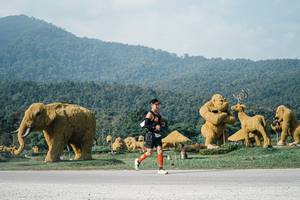 BIB: 
                            <button type="button" onclick="openModal(25871886)" class="btn btn-primary btn-sm float-right btn-popup" data-toggle="modal" data-target=".modal-high-quality">
                        <i class="fas fa-shopping-cart"></i> Add to Cart
                    </button>
                                            <button type="button" onclick="isThisMe(25871886, true)" class="btn btn-success btn-sm float-right btn-popup btn-isme hidden" data-toggle="tooltip" data-placement="bottom" title="นี่คือรูปของคุณใช่ไหม คลิกที่นี่เพื่อเอาเข้าอัลบั้ม">
                        <i class="fas fa-plus"></i> Add to album
                    </button>
                    <button type="button" onclick="isThisMe(25871886, false)" class="btn btn-warning btn-sm float-right btn-popup btn-isnotme hidden">
                        <i class="fas fa-ban"></i> Remove from album
                    </button>