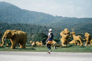 BIB: 
                            <button type="button" onclick="openModal(25871692)" class="btn btn-primary btn-sm float-right btn-popup" data-toggle="modal" data-target=".modal-high-quality">
                        <i class="fas fa-shopping-cart"></i> Add to Cart
                    </button>
                                            <button type="button" onclick="isThisMe(25871692, true)" class="btn btn-success btn-sm float-right btn-popup btn-isme hidden" data-toggle="tooltip" data-placement="bottom" title="นี่คือรูปของคุณใช่ไหม คลิกที่นี่เพื่อเอาเข้าอัลบั้ม">
                        <i class="fas fa-plus"></i> Add to album
                    </button>
                    <button type="button" onclick="isThisMe(25871692, false)" class="btn btn-warning btn-sm float-right btn-popup btn-isnotme hidden">
                        <i class="fas fa-ban"></i> Remove from album
                    </button>