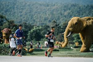 BIB: 
                            <button type="button" onclick="openModal(25918745)" class="btn btn-primary btn-sm float-right btn-popup" data-toggle="modal" data-target=".modal-high-quality">
                        <i class="fas fa-shopping-cart"></i> Add to Cart
                    </button>
                                            <button type="button" onclick="isThisMe(25918745, true)" class="btn btn-success btn-sm float-right btn-popup btn-isme hidden" data-toggle="tooltip" data-placement="bottom" title="นี่คือรูปของคุณใช่ไหม คลิกที่นี่เพื่อเอาเข้าอัลบั้ม">
                        <i class="fas fa-plus"></i> Add to album
                    </button>
                    <button type="button" onclick="isThisMe(25918745, false)" class="btn btn-warning btn-sm float-right btn-popup btn-isnotme hidden">
                        <i class="fas fa-ban"></i> Remove from album
                    </button>