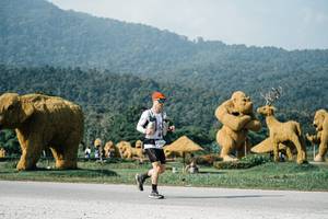 BIB: 
                            <button type="button" onclick="openModal(25872622)" class="btn btn-primary btn-sm float-right btn-popup" data-toggle="modal" data-target=".modal-high-quality">
                        <i class="fas fa-shopping-cart"></i> Add to Cart
                    </button>
                                            <button type="button" onclick="isThisMe(25872622, true)" class="btn btn-success btn-sm float-right btn-popup btn-isme hidden" data-toggle="tooltip" data-placement="bottom" title="นี่คือรูปของคุณใช่ไหม คลิกที่นี่เพื่อเอาเข้าอัลบั้ม">
                        <i class="fas fa-plus"></i> Add to album
                    </button>
                    <button type="button" onclick="isThisMe(25872622, false)" class="btn btn-warning btn-sm float-right btn-popup btn-isnotme hidden">
                        <i class="fas fa-ban"></i> Remove from album
                    </button>