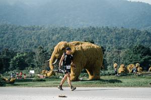 BIB: 
                            <button type="button" onclick="openModal(25904617)" class="btn btn-primary btn-sm float-right btn-popup" data-toggle="modal" data-target=".modal-high-quality">
                        <i class="fas fa-shopping-cart"></i> Add to Cart
                    </button>
                                            <button type="button" onclick="isThisMe(25904617, true)" class="btn btn-success btn-sm float-right btn-popup btn-isme hidden" data-toggle="tooltip" data-placement="bottom" title="นี่คือรูปของคุณใช่ไหม คลิกที่นี่เพื่อเอาเข้าอัลบั้ม">
                        <i class="fas fa-plus"></i> Add to album
                    </button>
                    <button type="button" onclick="isThisMe(25904617, false)" class="btn btn-warning btn-sm float-right btn-popup btn-isnotme hidden">
                        <i class="fas fa-ban"></i> Remove from album
                    </button>