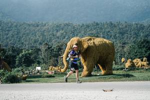 BIB: 
                            <button type="button" onclick="openModal(25889213)" class="btn btn-primary btn-sm float-right btn-popup" data-toggle="modal" data-target=".modal-high-quality">
                        <i class="fas fa-shopping-cart"></i> Add to Cart
                    </button>
                                            <button type="button" onclick="isThisMe(25889213, true)" class="btn btn-success btn-sm float-right btn-popup btn-isme hidden" data-toggle="tooltip" data-placement="bottom" title="นี่คือรูปของคุณใช่ไหม คลิกที่นี่เพื่อเอาเข้าอัลบั้ม">
                        <i class="fas fa-plus"></i> Add to album
                    </button>
                    <button type="button" onclick="isThisMe(25889213, false)" class="btn btn-warning btn-sm float-right btn-popup btn-isnotme hidden">
                        <i class="fas fa-ban"></i> Remove from album
                    </button>