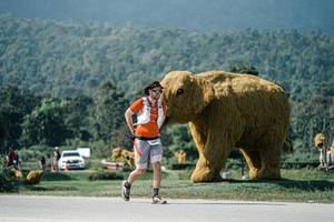 BIB: 
                            <button type="button" onclick="openModal(25922477)" class="btn btn-primary btn-sm float-right btn-popup" data-toggle="modal" data-target=".modal-high-quality">
                        <i class="fas fa-shopping-cart"></i> Add to Cart
                    </button>
                                            <button type="button" onclick="isThisMe(25922477, true)" class="btn btn-success btn-sm float-right btn-popup btn-isme hidden" data-toggle="tooltip" data-placement="bottom" title="นี่คือรูปของคุณใช่ไหม คลิกที่นี่เพื่อเอาเข้าอัลบั้ม">
                        <i class="fas fa-plus"></i> Add to album
                    </button>
                    <button type="button" onclick="isThisMe(25922477, false)" class="btn btn-warning btn-sm float-right btn-popup btn-isnotme hidden">
                        <i class="fas fa-ban"></i> Remove from album
                    </button>