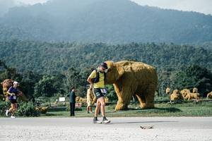 BIB: 
                            <button type="button" onclick="openModal(25889743)" class="btn btn-primary btn-sm float-right btn-popup" data-toggle="modal" data-target=".modal-high-quality">
                        <i class="fas fa-shopping-cart"></i> Add to Cart
                    </button>
                                            <button type="button" onclick="isThisMe(25889743, true)" class="btn btn-success btn-sm float-right btn-popup btn-isme hidden" data-toggle="tooltip" data-placement="bottom" title="นี่คือรูปของคุณใช่ไหม คลิกที่นี่เพื่อเอาเข้าอัลบั้ม">
                        <i class="fas fa-plus"></i> Add to album
                    </button>
                    <button type="button" onclick="isThisMe(25889743, false)" class="btn btn-warning btn-sm float-right btn-popup btn-isnotme hidden">
                        <i class="fas fa-ban"></i> Remove from album
                    </button>